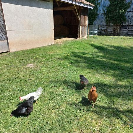 L' Embellie Sur Lot Bed & Breakfast Sainte-Livrade-sur-Lot Exterior foto